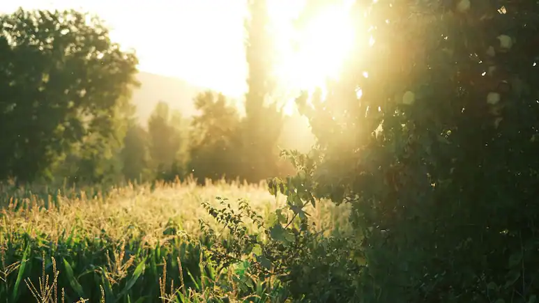 Chhattisgarh | छत्तीसगढ़ में मौसम हुआ ड्राई… रायपुर में 37 डिग्री तक पहुंचा तापमान